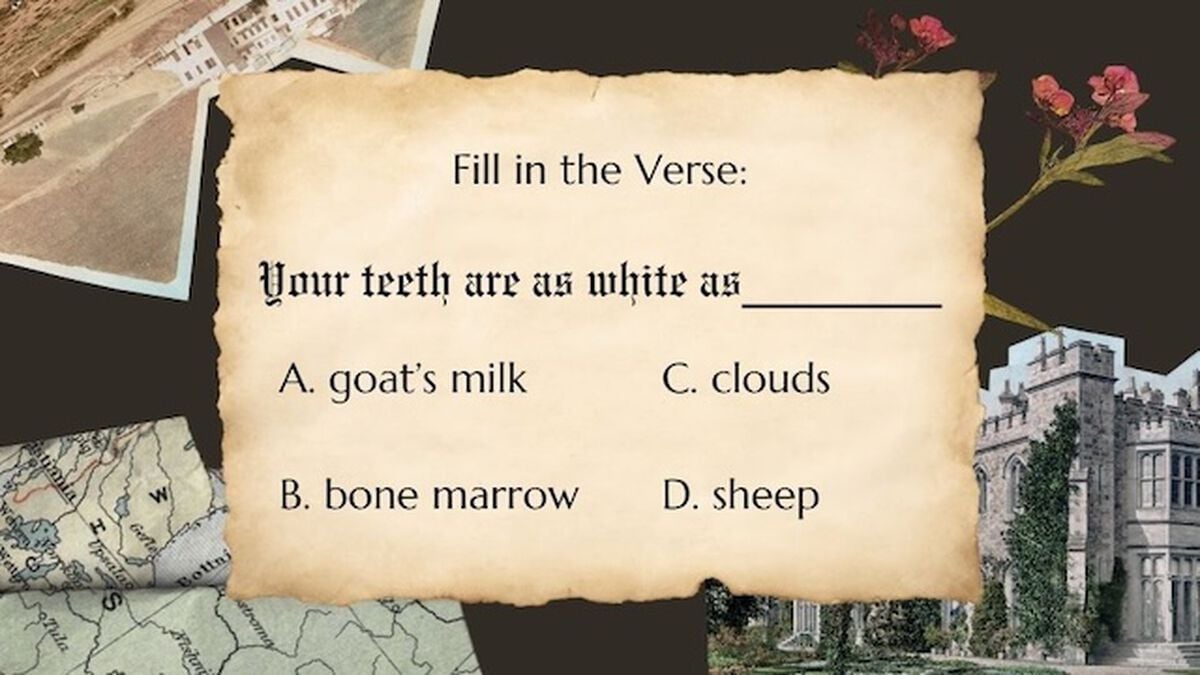 Bible Buff Old Testament Vol. 2 image number null